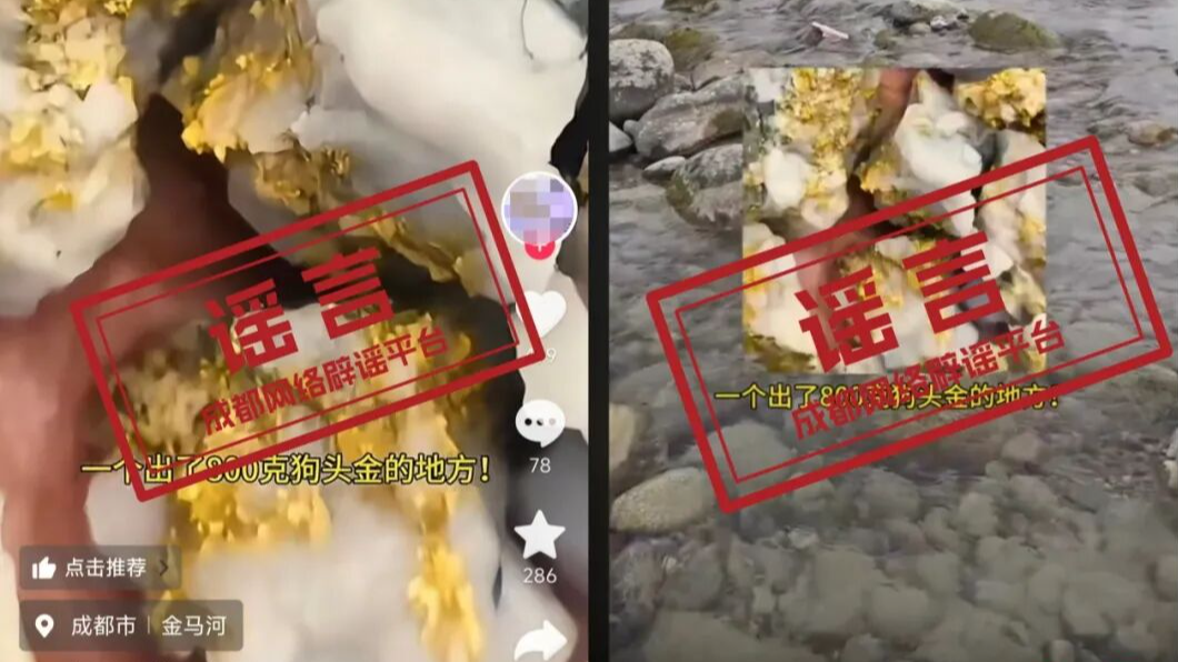 金马河现800克狗头金？视频系拼接剪辑