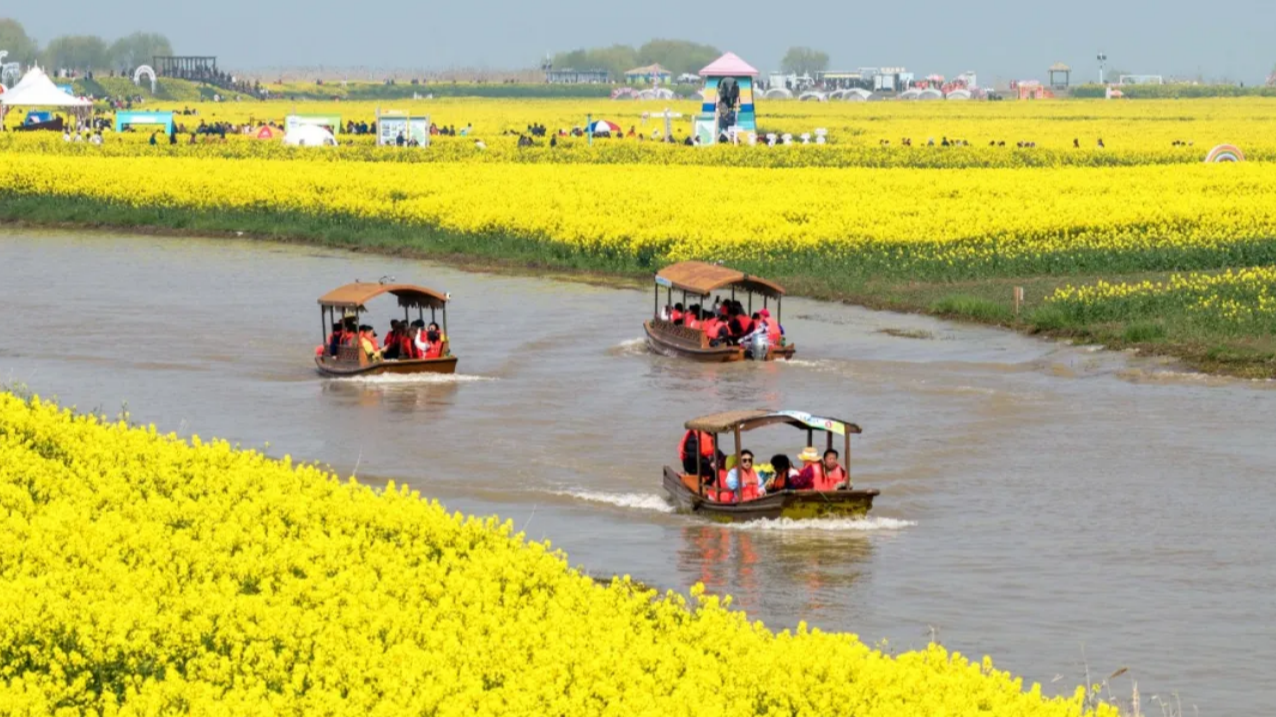 全民“追花地图”！原来有这么多“花样”玩法