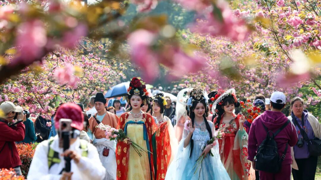 成都经济亮点 | 1117.9万人次！457.3亿元！春假+清明，成都又火了！