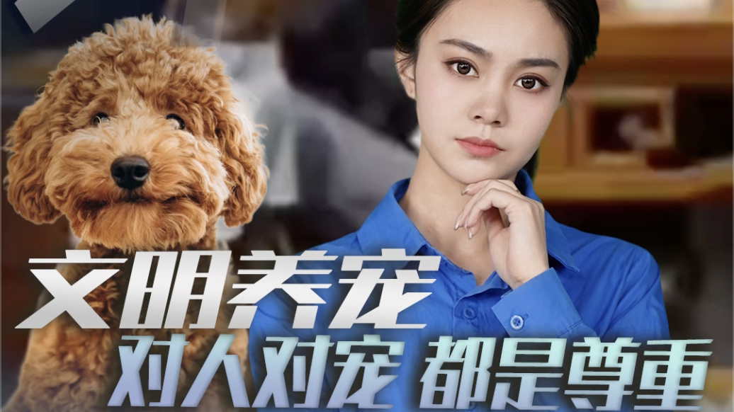 时评｜文明养宠：对人对宠 都是尊重