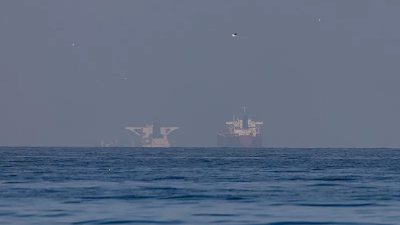 美伊同意停火后 首批船只通过霍尔木兹海峡