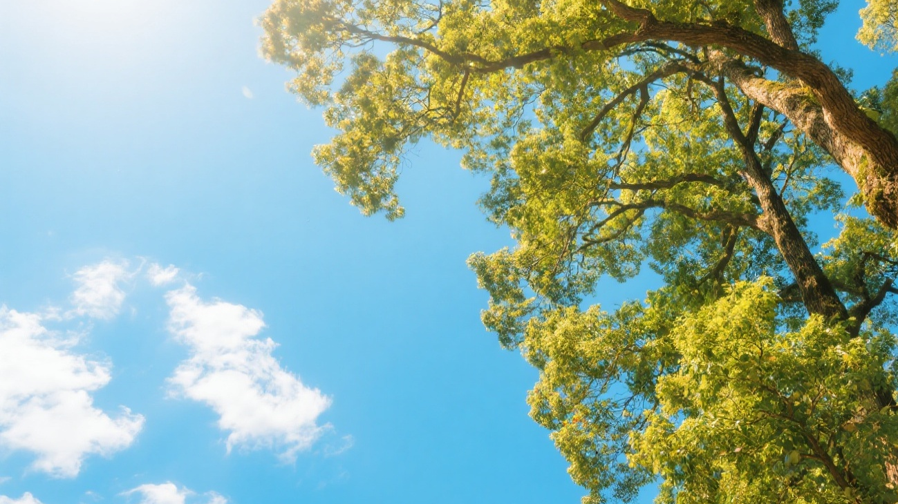 夏日体验卡来了！成都、眉山、乐山等地将迎今年首个30℃