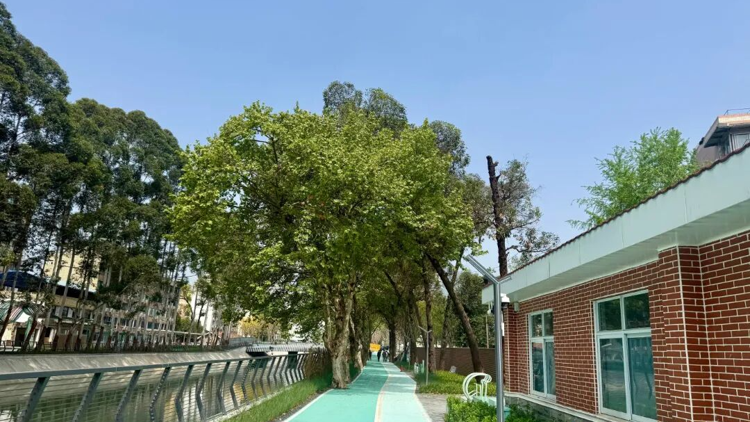 步步皆景！东风渠滨河步道4月底开放，自然博物馆直通体育公园