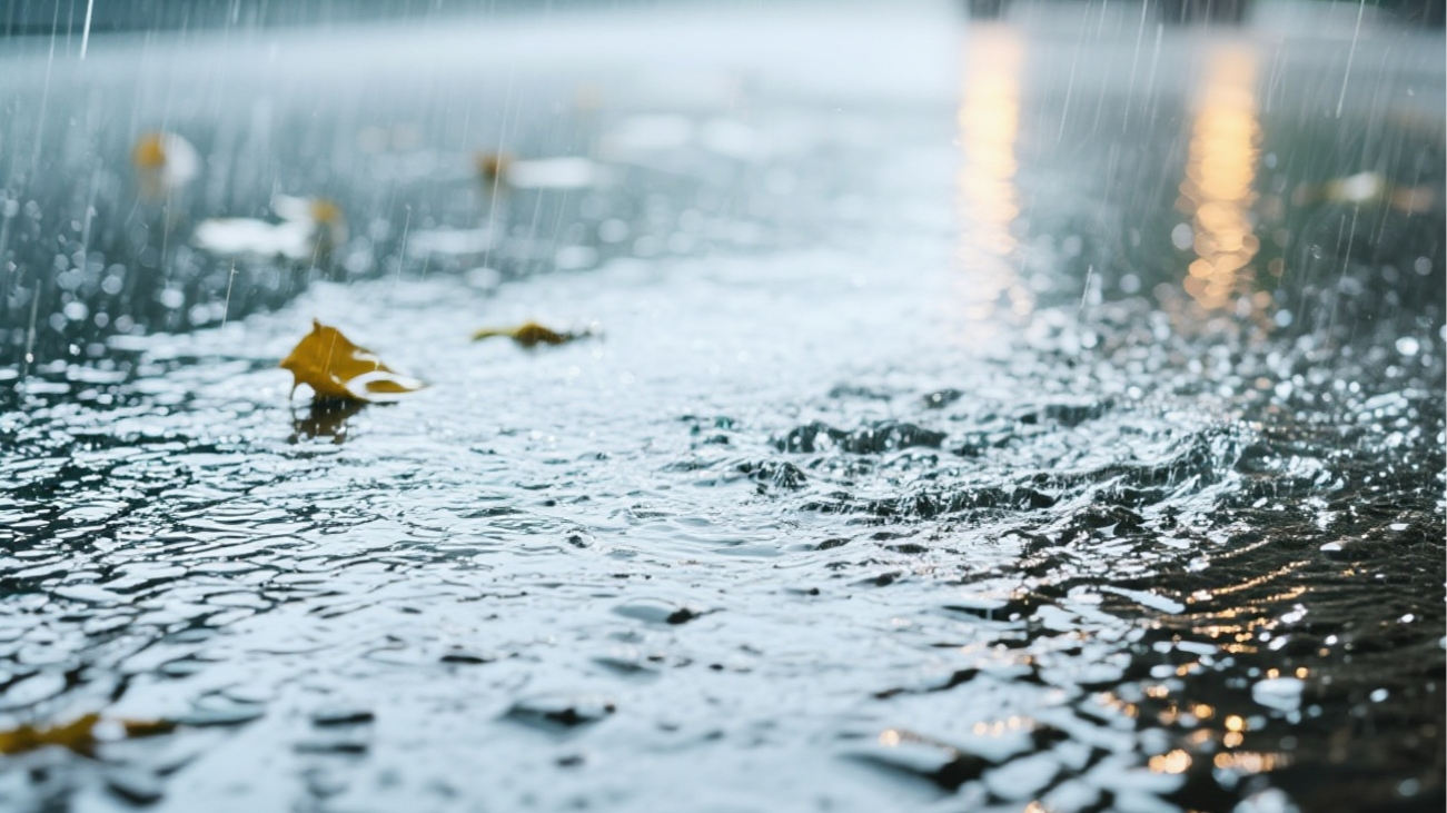 出门记得带伞！成都将迎降雨伴大风