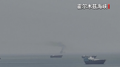 美军已开始对进出霍尔木兹海峡的船只进行阻截
