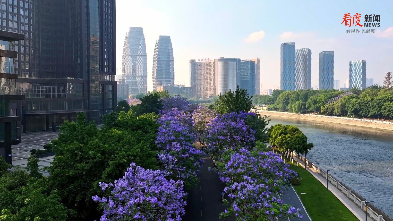 e276c9de92a04e43b77e7f9c416cdcd6.png e276c9de92a04e43b77e7f9c416cdcd6.png