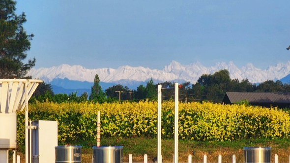 成都蓝与雪山白同框，这对CP今早又刷屏了！