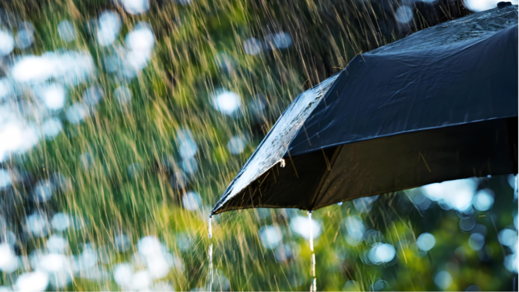 热到31.3℃！成都夏天就要来了？降温降雨马上到