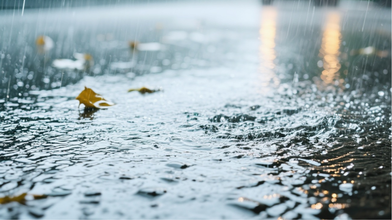 大风蓝色预警来了！成都今夜降雨伴大风，21日仍有阵雨