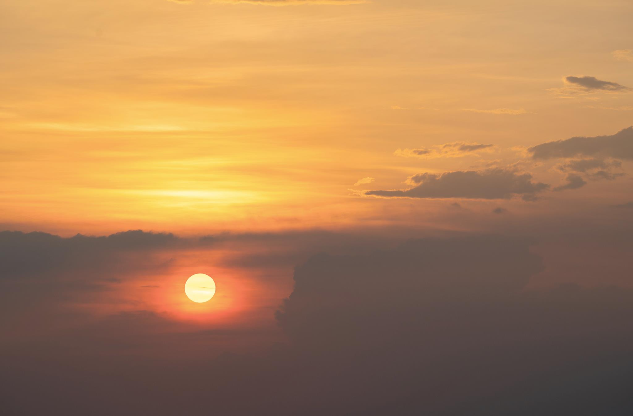 今年或冲击全球高温极限？专家理性解读厄尔尼诺事件