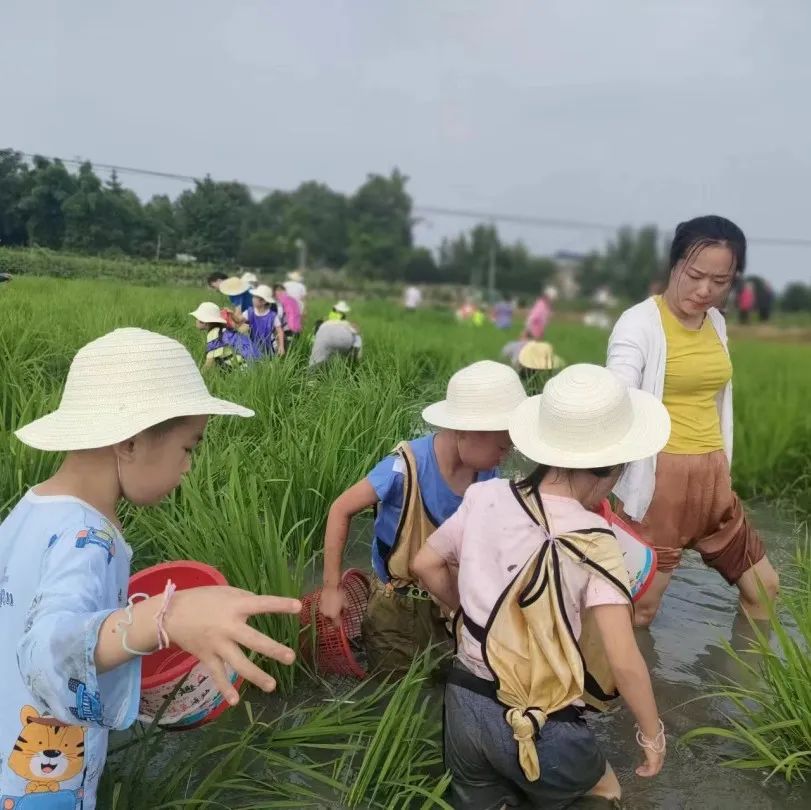 【微光社工】你和夏令营有个约定