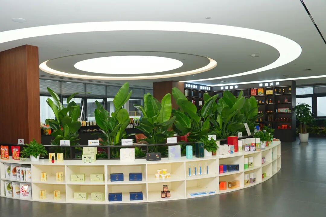 undefined DSC08623.JPG