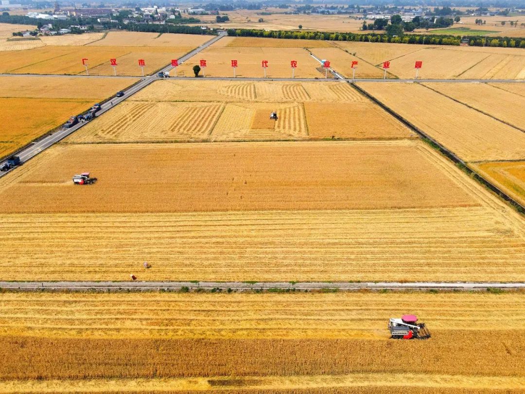 1.13公斤等于几斤 (99) 사진