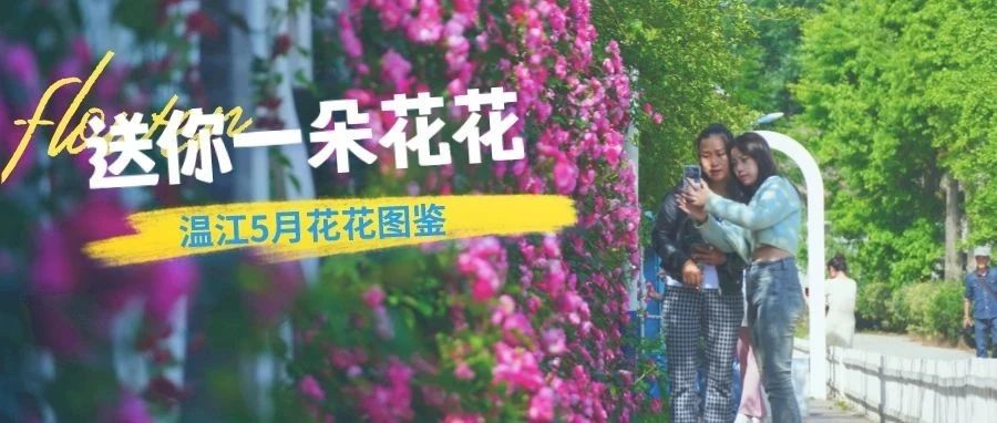 赏花收心！温江5月花花图鉴→