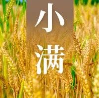 今日小满，幸福满满~