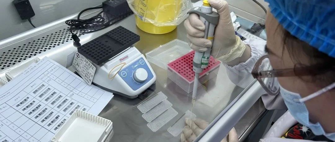 遗传性耳聋早发现！温江这家实验室给超150万宝宝筛查基因~