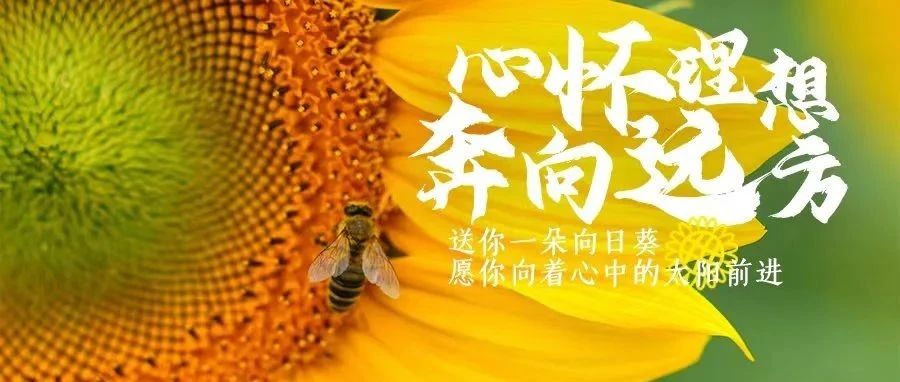 开了！温江向日葵花田陪你心怀理想，奔向远方！