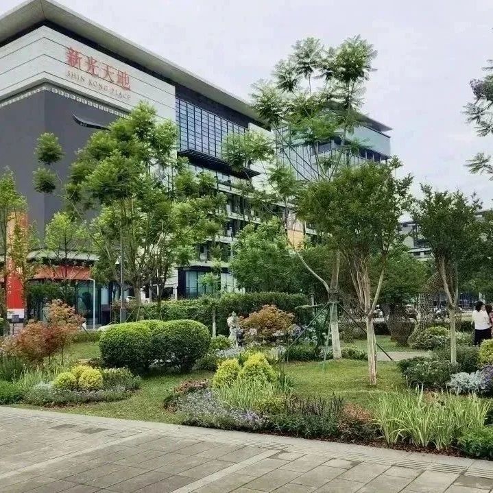 美！温江这个街区绿化升级大变样～
