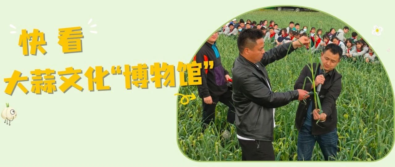快看！温江打造了一个大蒜文化“博物馆”→