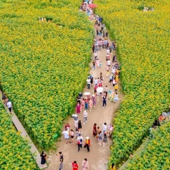 端午假期，35.11万人次打卡温江→