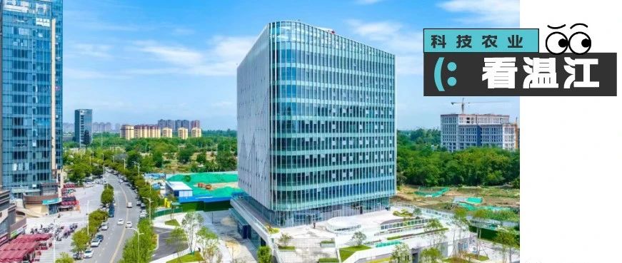 从温江出发！争做现代智慧农贸市场的全国示范和标杆→
