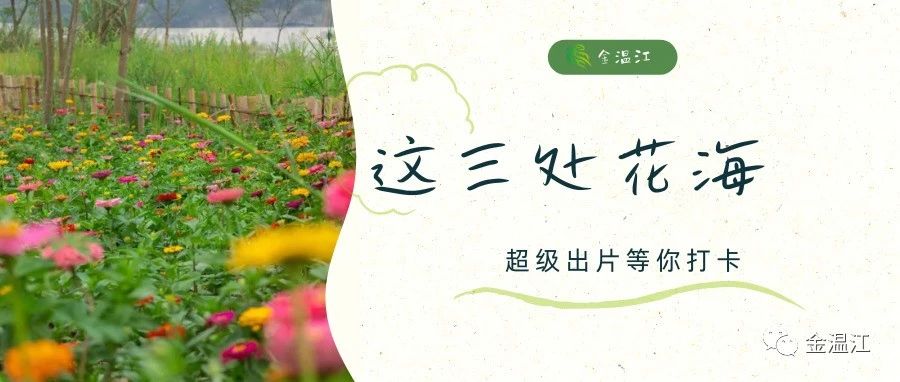 向云端，温江花海那边~