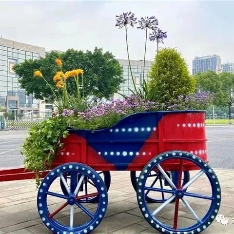 全市第一批“最美街区”出炉！温江这条街区上榜，你逛过没？