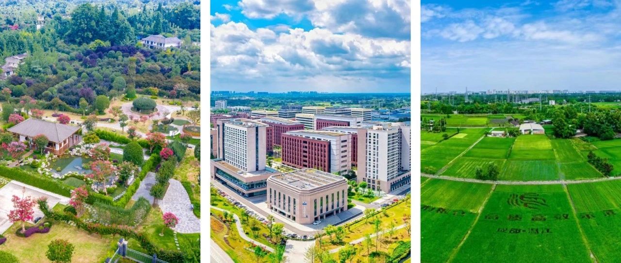 构建“姓温有据”的现代化产业体系，温江产业社区如何精准发力？