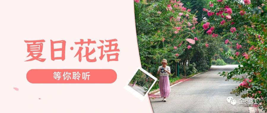 @喜欢赏花的你  温江紫薇花开啦！还有超多活动等你打卡→