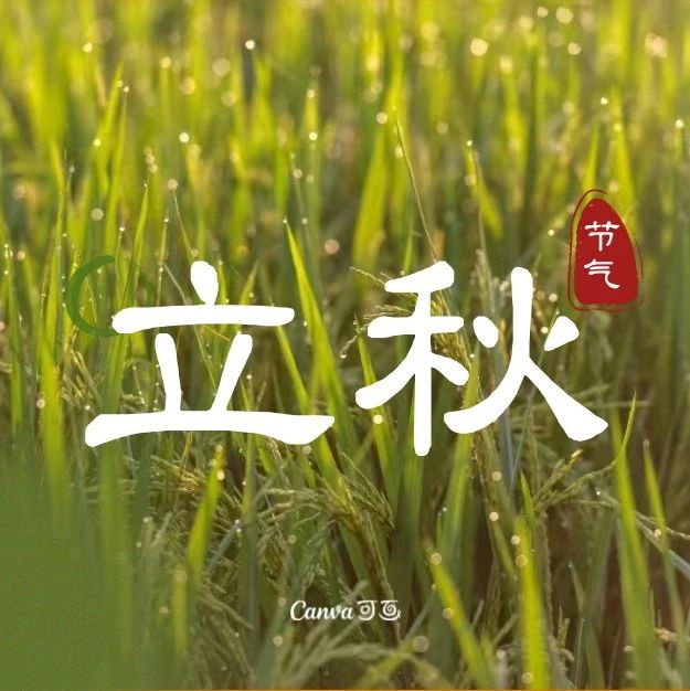 今日立秋
