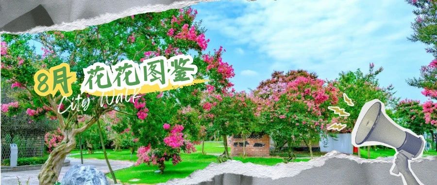 秋已至，夏未央！温江8月花花图鉴→