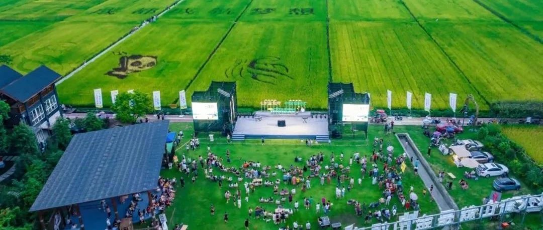 和林稻田音乐会，奏响农旅融合奋进曲