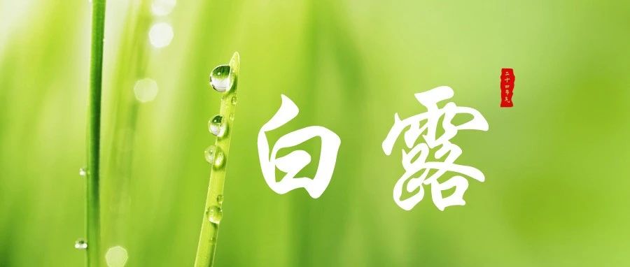 今日白露