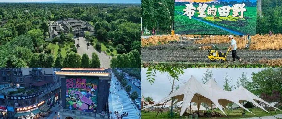 秋风不燥，一起体验温江秋日“小清新”玩法