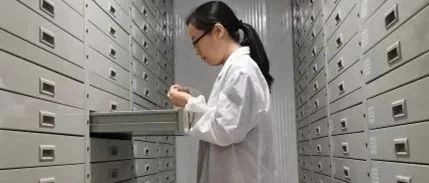 温江这家机构，让小小微生物具有完备的“档案”