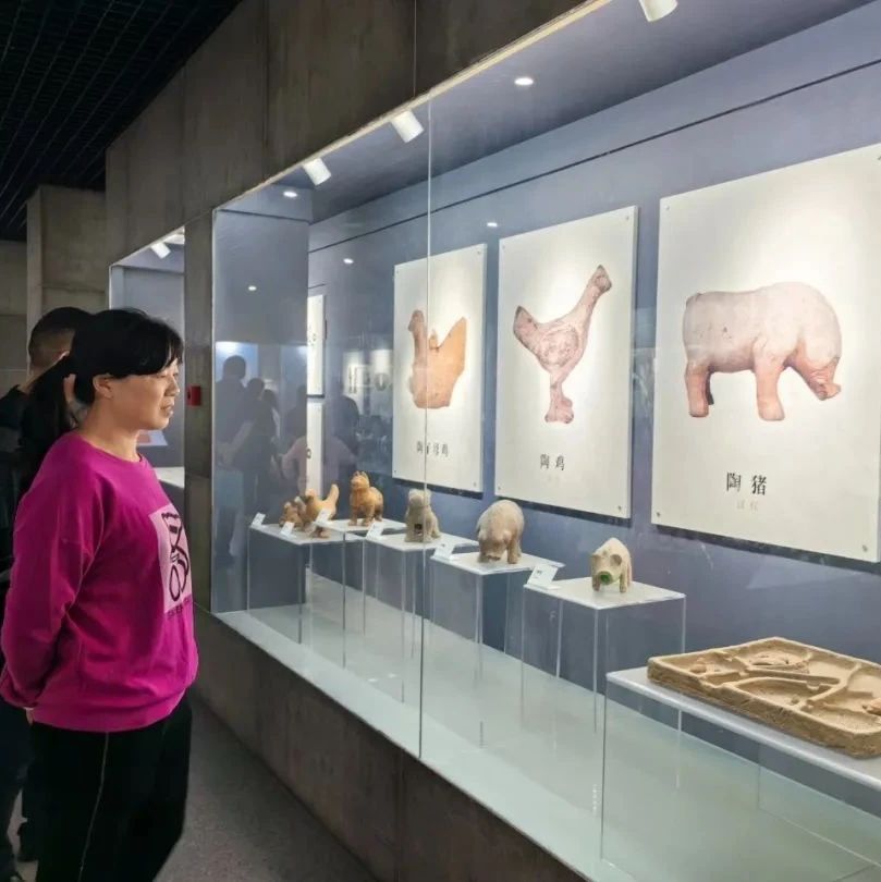 “打卡”温江文庙：触摸历史温度 感受生活美好