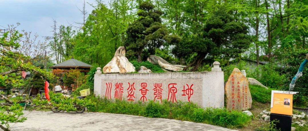 在温江街头走一走丨寿安有个宝藏盆景公园！