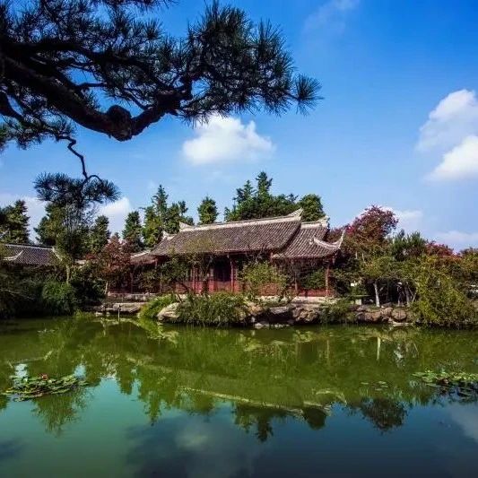 名单公布！温江这两处入选第八届成都国际非遗节非遗体验基地