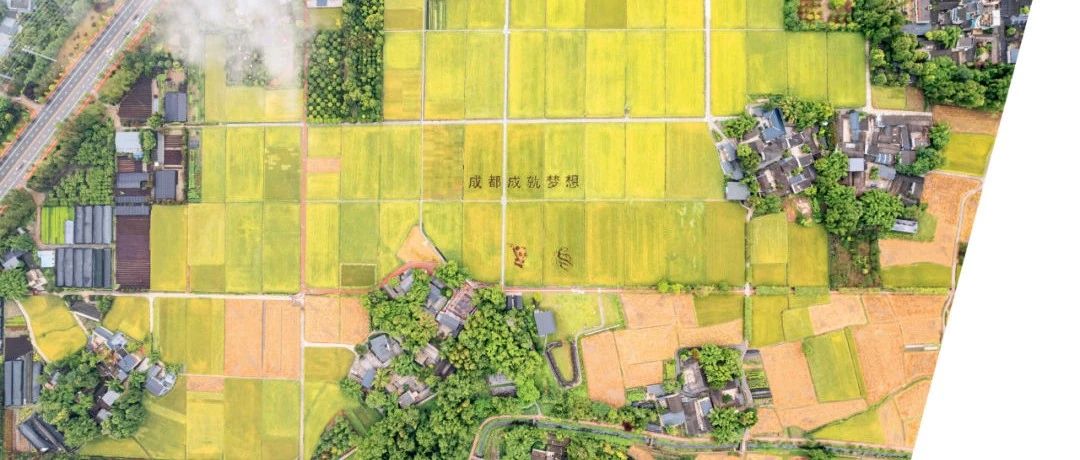 温江： 青年，焕新城市活力