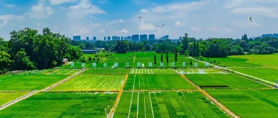 2023年温江区田长制林长制全体会议召开，要求严守耕地红线、护美绿水青山，不断推动美丽温江建设迈上新