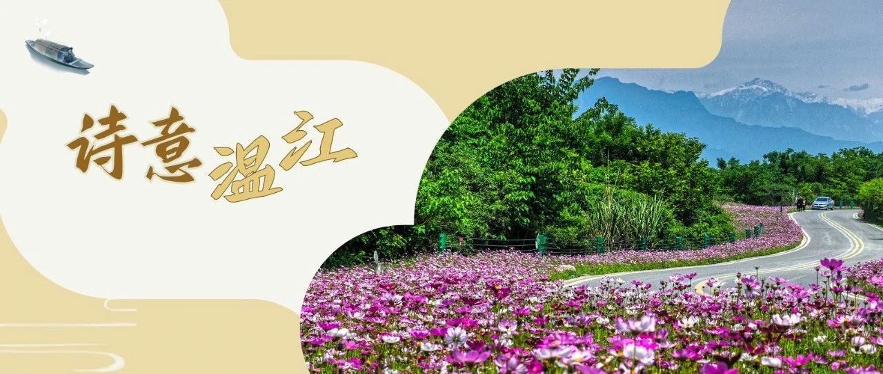 一座城，亦如诗！幸福温江在诗意里流淌~