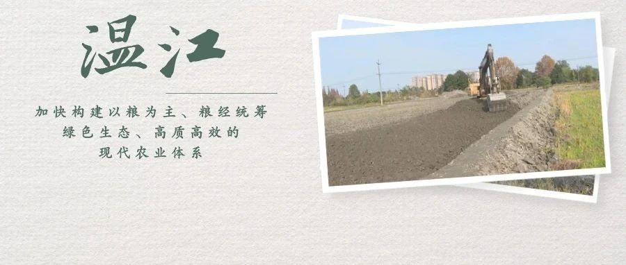 加快建设！温江以高标准农田建设夯实天府粮仓“耕基”