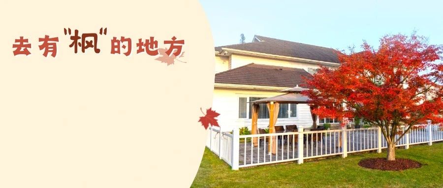 在温江遇见你，一起看“枫”景~