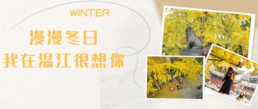 冬日漫漫亦灿灿，我在温江很想你~