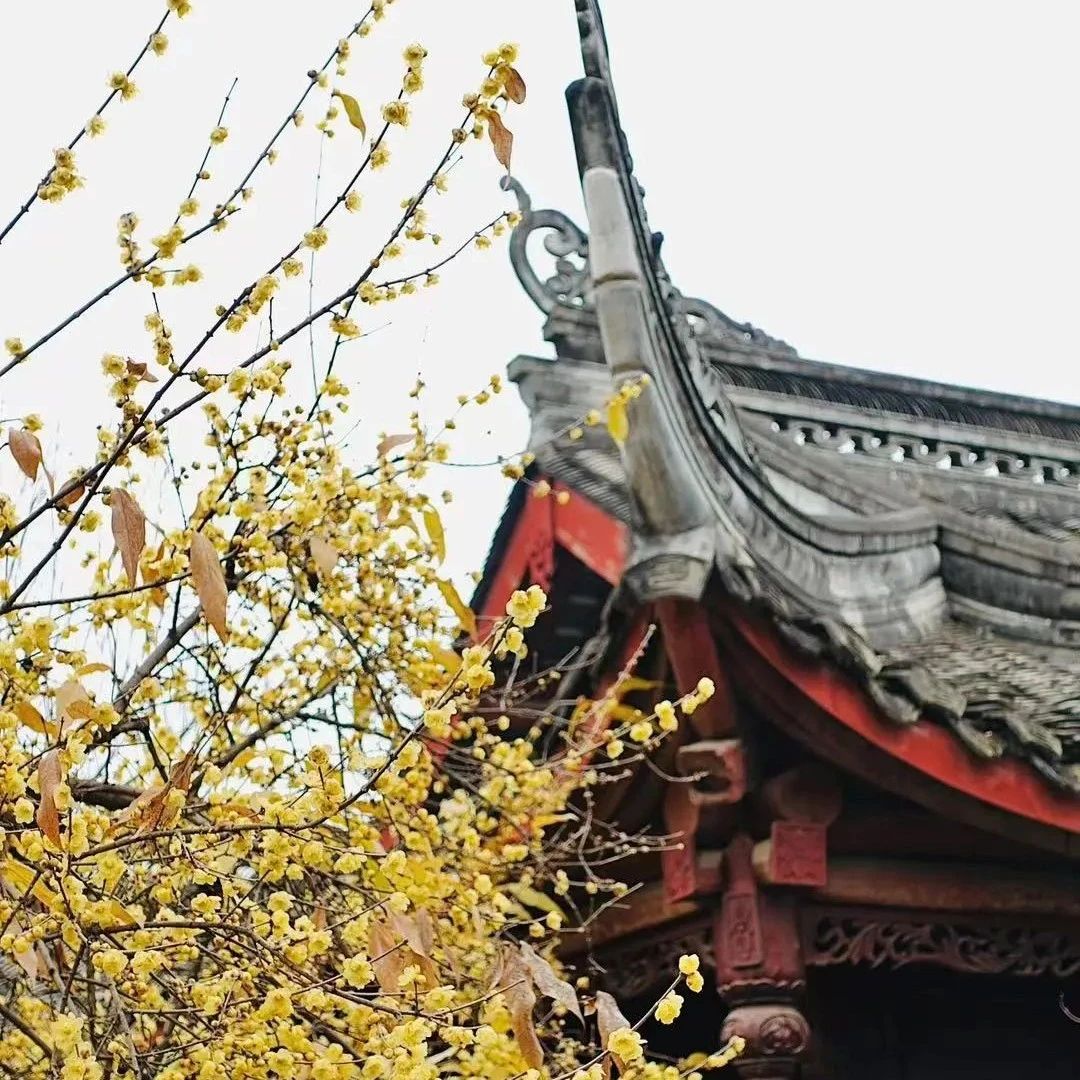今日小寒