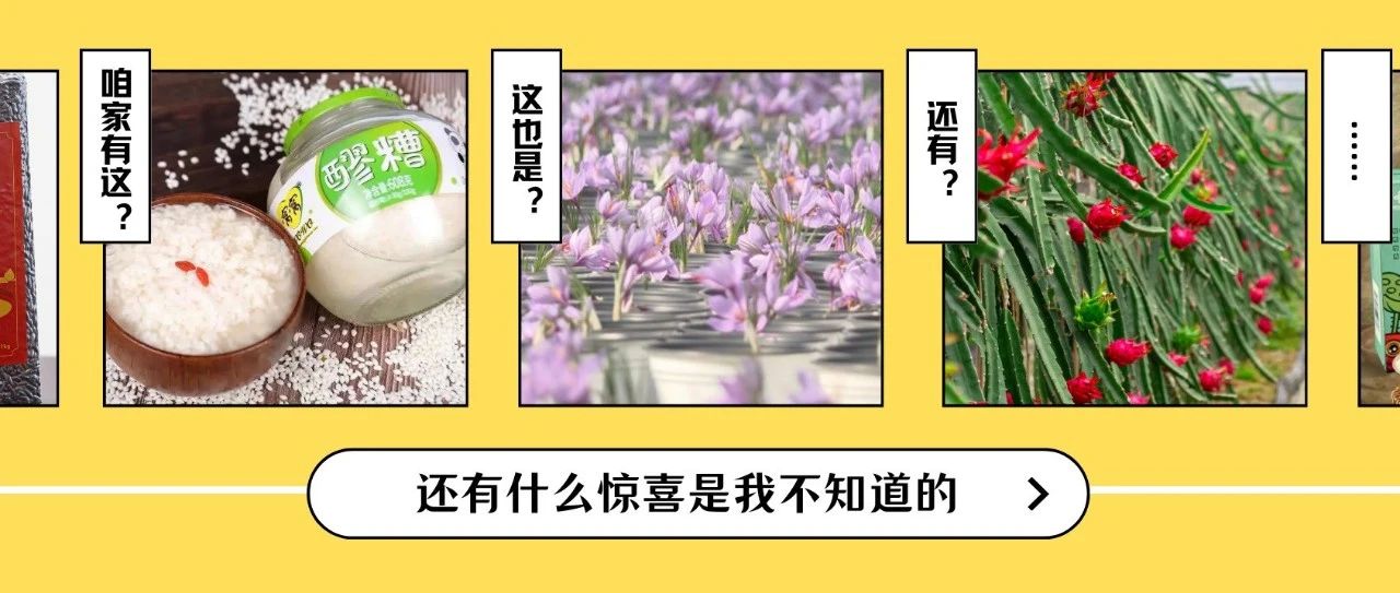 温江特产“大摸底”！咱家都有哪些好东西？