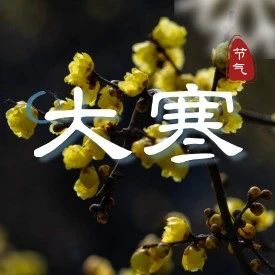 今日大寒
