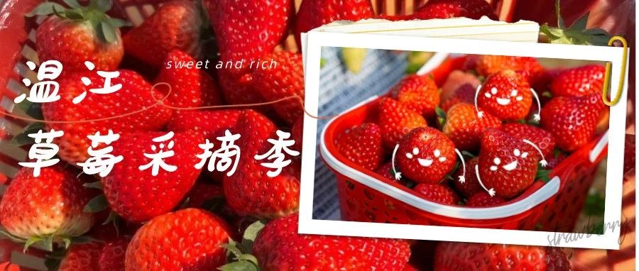 快上车！跟着小金打卡温江冬日的“莓”好时光～