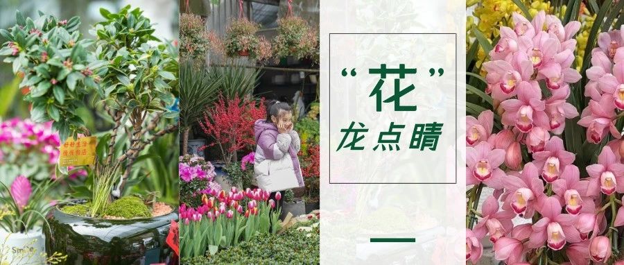 年味是什么颜色的？来温江这个花花世界，提前感受春节气氛→