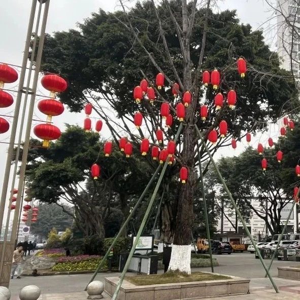 “氛围组”到位！温江大红灯笼高高挂~
